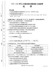 2022-2023学年河南省创新发展联盟高三上学期11月阶段检测化学试题 PDF版