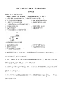 河南省洛阳市2022-2023学年高二上学期期中考试化学试题(Word版含答案)