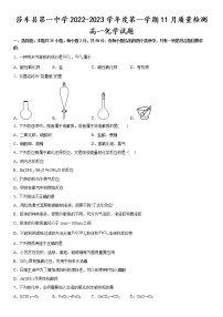 新疆喀什地区莎车县第一中学2022-2023学年高一上学期11月质量检测化学试题（Word版含答案）