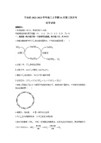 湖南省永州市宁远县2023届高三上学期11月第三次月考化学试卷（含解析）