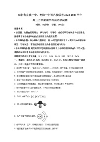 湖北省宜城一中、枣阳一中等六校联考2022-2023学年高三化学上学期期中考试试题（Word版附答案）