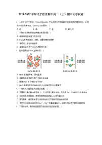 2021-2022学年辽宁省沈阳市高一（上）期末化学试卷（含答案解析）