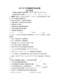 湖南省邵阳市武冈市2022-2023学年高二化学上学期期中试题（Word版附答案）