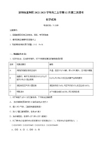 广东省深圳市龙华区2022-2023学年高二上学期12月第二次段考化学试卷（Word版含答案）