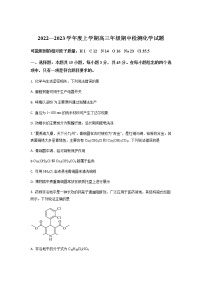 湖北省武汉市华中名校2022-2023学年高三上学期期中考试化学试题（解析版）