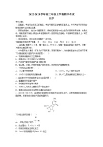 河南省天一大联考2023届高三上学期期中考试化学试题