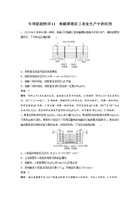 2022年高考化学一轮复习讲义第6章第32讲 专项提能特训11　电解原理在工农业生产中的应用 (含解析)