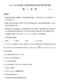 2022-2023学年新疆维吾尔自治区和田地区和田县高一上学期11月期中化学试题试卷含答案