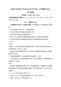 黑龙江省哈尔滨市实验中学2022-2023学年高三化学上学期期中试卷（Word版附答案）