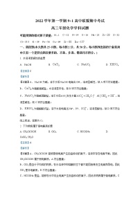 浙江省91高中联盟2022-2023学年高三化学上学期期中试题（Word版附解析）