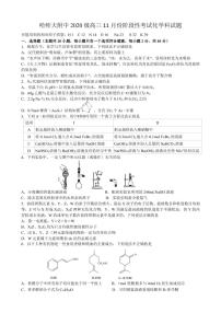 黑龙江省哈尔滨师范大学附属中学2022-2023学年高三化学上学期11月期中考试试题（PDF版附答案）