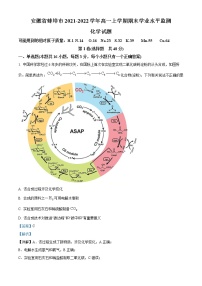 2022蚌埠高一上学期期末考试化学含解析