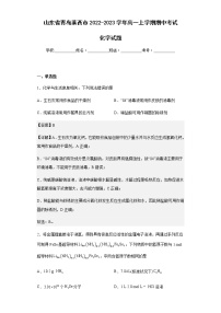 2022-2023学年山东省青岛莱西市高一上学期期中考试化学试题含解析