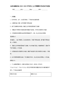 2022-2023学年山东省德州市高二上学期期中考试化学试题含解析