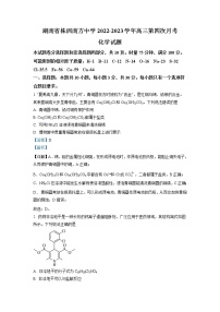 湖南株洲南方中学2023届高三化学上学期第四次月考试卷（Word版附解析）