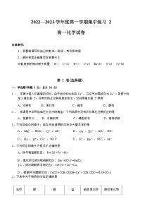 安徽省合肥市庐巢八校联考2022-2023学年高一上学期12月集中练习2化学试题（Word版含答案）