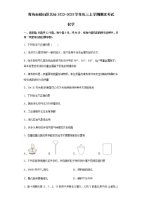 山东省青岛市崂山区名校2022-2023学年高三上学期期末考试化学试题（Word版含答案）