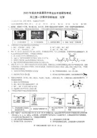 2023届重庆市高三高考第一次联合诊断检测（康德卷）化学试题