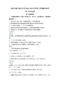 湖北省武汉市部分重点中学2022-2023学年高一化学上学期期末联考试题（Word版附解析）