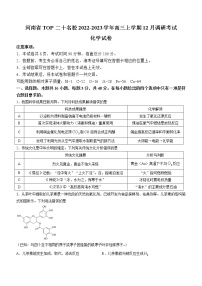 2022-2023学年河南省实验中学TOP二十名校高三上学期12月调研考试化学试题（解析版）