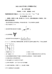 湖北省武汉外国语名校2022-2023学年高二上学期期末考试化学试卷(解析版)