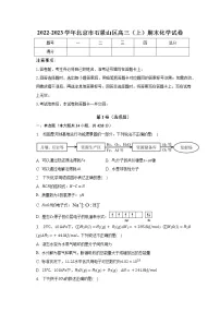 2022-2023学年北京市石景山区高三(上)期末化学试卷(含解析)