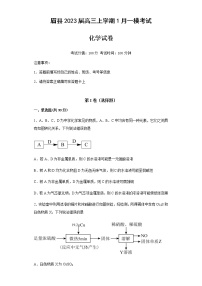 陕西省宝鸡市眉县2023届高三上学期1月一模考试化学试题（Word版含答案）