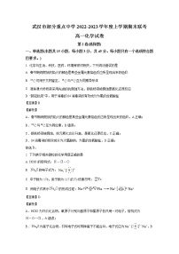 湖北省武汉市部分重点中学2022-2023学年高一化学上学期期末联考试卷（Word版附解析）