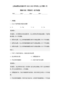 2022-2023学年上海市晋元高级中学高二上学期1月期末考试（等级考）化学试题含解析