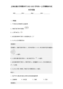2022-2023学年上海交通大学附属中学高一上学期期末考试化学试题含解析