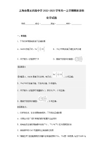 2022-2023学年上海市晋元高级中学高一上学期期末诊断化学试题含解析