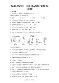 河南省周口市沈丘县长安高级中学2022-2023学年高三上学期期末考试化学试卷（PDF版含答案）