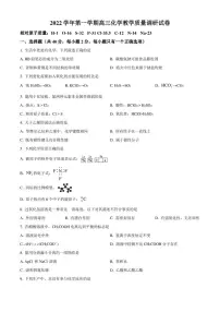 2022-2023学年上海市长宁区高三上学期教学质量调研(一模)化学试题(PDF含答案)