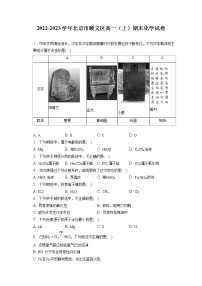 2022-2023学年北京市顺义区高一（上）期末化学试卷（含答案解析）