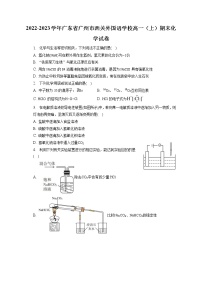 2022-2023学年广东省广州市西关外国语学校高一（上）期末化学试卷（含答案解析）