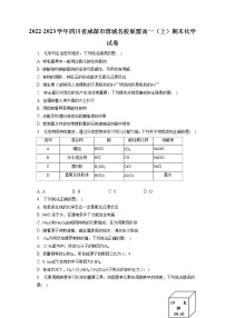 2022-2023学年四川省成都市蓉城名校联盟高一（上）期末化学试卷（含答案解析）