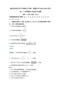 2022-2023学年湖北省华中师范大学第一附属中学高二上学期期中考试化学试题（解析版）