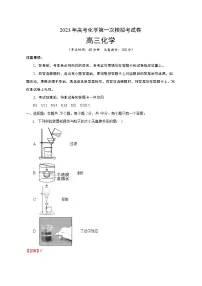 2023年高考第一次模拟考试卷:化学(上海A卷)(全解全析)