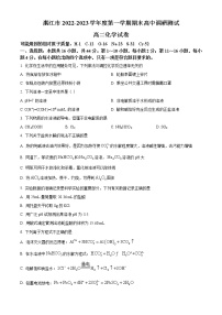 2023湛江高二上学期期末化学试题含答案
