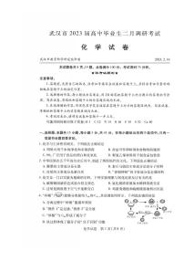 2023武汉高三下学期2月调研考试化学PDF版含答案