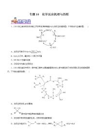 【高考二轮复习】2023年高考化学精讲+精练+小测(全国通用)——专题10 化学反应机理与历程(练)(原卷版+解析版)