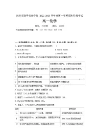 广东省深圳实验学校高中部2022-2023学年高一上学期期末阶段考试化学试题（Word版含答案）