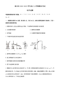 山东省泰安市2022-2023学年高三上学期期末考试化学试题（Word版含答案）