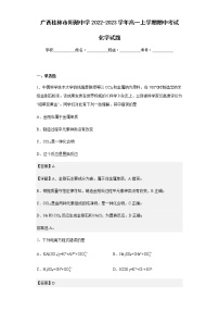 2022-2023学年广西桂林市阳朔中学高一上学期期中考试化学试题含解析