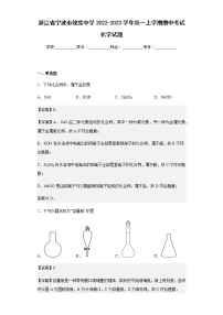 2022-2023学年浙江省宁波市效实中学高一上学期期中考试化学试题含解析