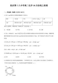 山东省临沂市罗庄区第十八中学2022-2023学年高二上学期10月月考化学试题 PDF版