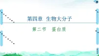 高中化学第二节 蛋白质教学演示课件ppt