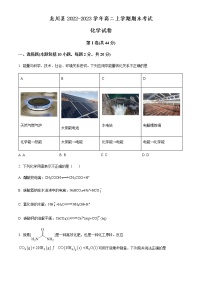 广东省河源市龙川县2022-2023学年高二上学期期末考试化学试题（Word版含答案）