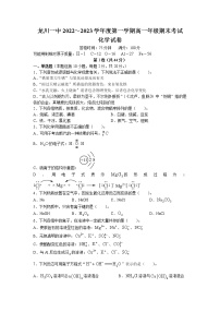 广东省河源市龙川县第一中学2022-2023学年高一上学期期末考试化学试题