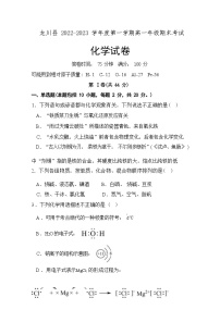 广东省河源市龙川县2022-2023学年高一上学期期末考试（2月）化学试题（Word版含答案）